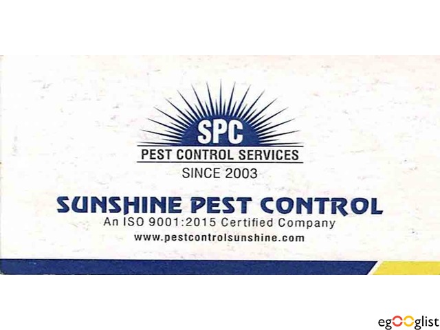 Pest Control Services 