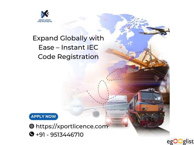 Expand Globally with Ease – Instant IEC Code Registration