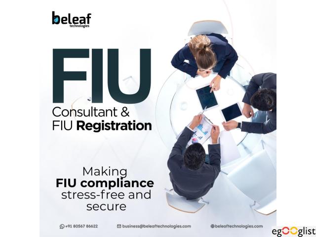 FIU Registration Made Simple: Expert Guidance from FIU Consultants