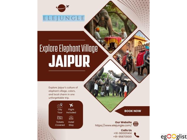 Elephant Village Jaipur Best Place to Visit for Family Travel in India